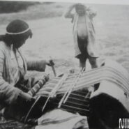 NIINAMI