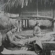 NIINAMI