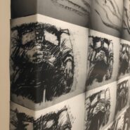 IMG_8789