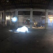 Tribum 2019 Hualine OLAF