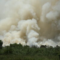Farm fire