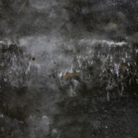 ice