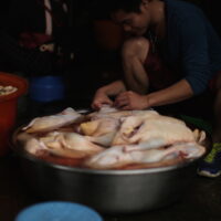 Pollame