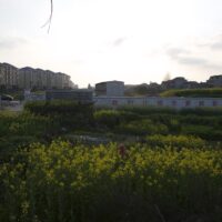 campi